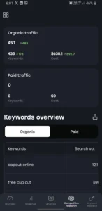 SE Ranking Mobile Dashboard