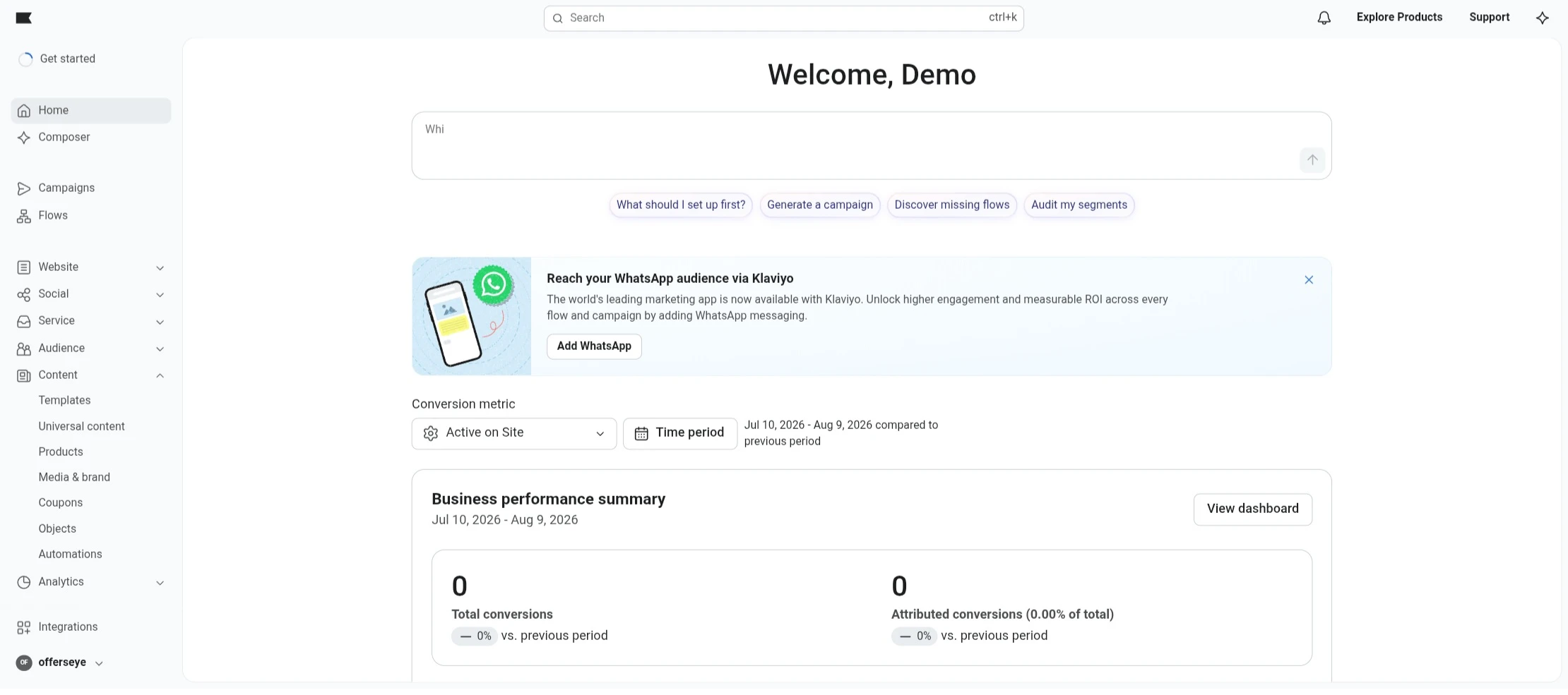 Klaviyo Dashboard View