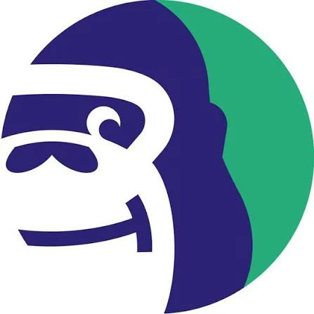 Bouncer logo